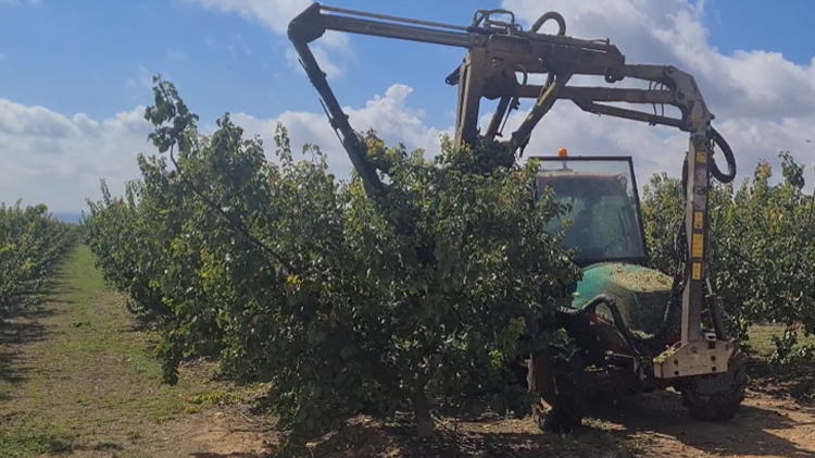 Fotografía 4|Figura 1|figura 2 unido|Fotografía 1 (1)|Fotografía 2 (2)|Fotografía 3|Fotografía 4|Figura 3|Fotografía 5|Fotografía 6|Fotografía 7 (1)|Fotografía 8|figura 4|Fotografía 9|fotografia 10|Fotografía 11|Fotografía 12